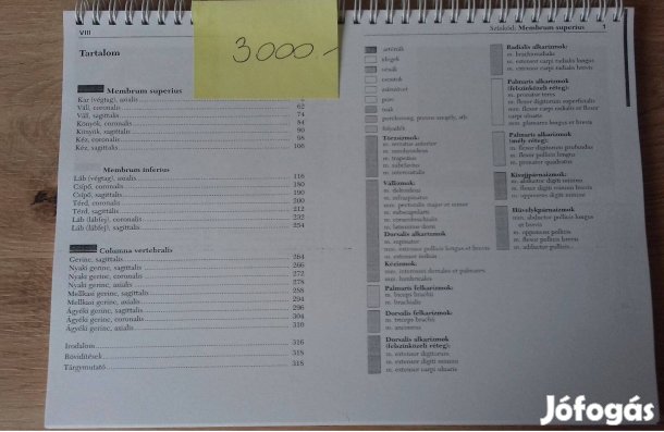 A metszeti anatómia zsebatlasza III