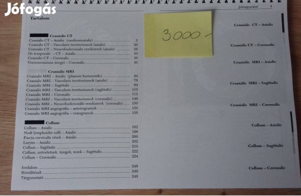 A metszeti anatómia zsebatlasza I