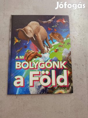 A mi bolygónk a Föld