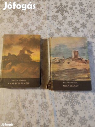 A nap szerelmese - Aranyecset könyv