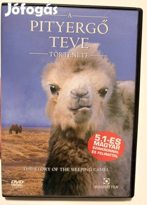 A pityergő teve története DVD film