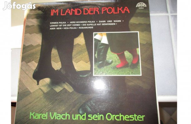 A polka országában bakelit hanglemez eladó