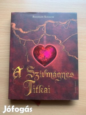 A szívmágnes titkai, Ruediger Schache