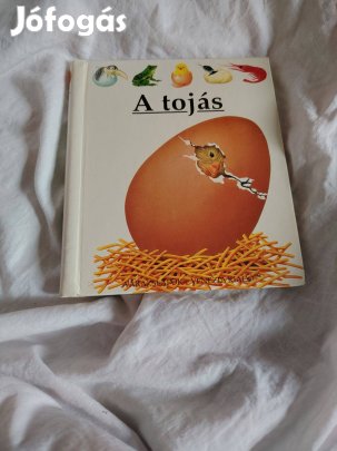 A tojás (Kis felfedező zsebkönyvek)