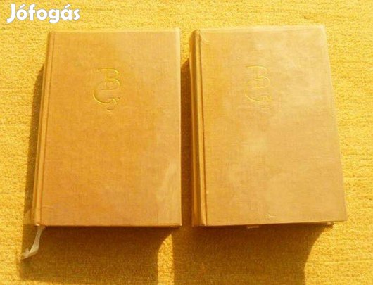 A toronyőr visszapillant I-II. - Bálint György