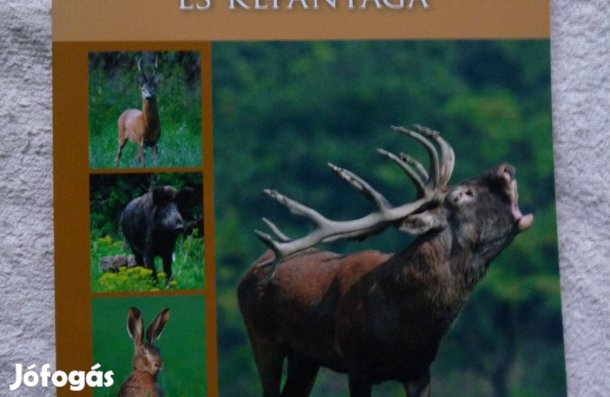 A vadászvizsga írásbeli tesztkérdései és képanyaga 2024