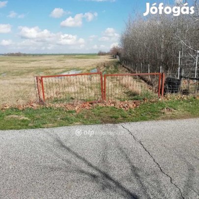 Abai eladó 5000 nm-es telek
