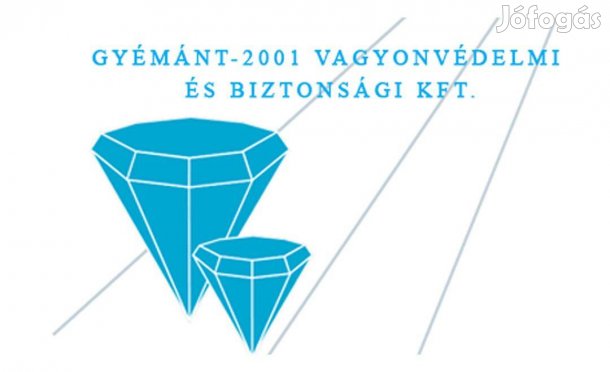 Ablak és üveg felületek tisztítására kollégát keresünk