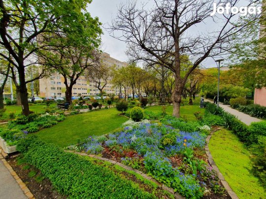 Ablakos konyha!!! Az Örstől a 2. megálló, világos, csendes, klímás