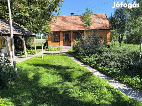 Abony Belsőerdő dűlőn, jó állapotú tanya eladó.