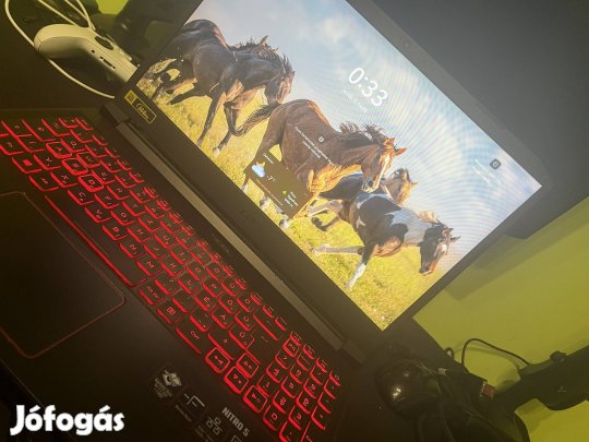 Acer Nitro V AN515-55-591Q