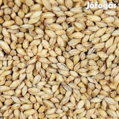 Acidulated Maláta  10dkg  ( 440 )