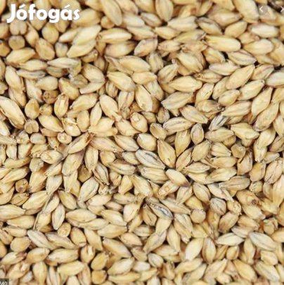 Acidulated Maláta  1 Kg  ( 1434 )