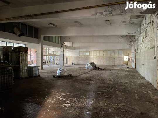 Ácson 1660nm-es raktár, üzem 3000nm-es telek eladó
