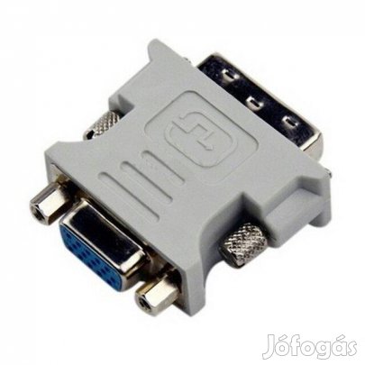 Adapter : DVI apa / VGA ( Monitor ) mama átalakító (_)
