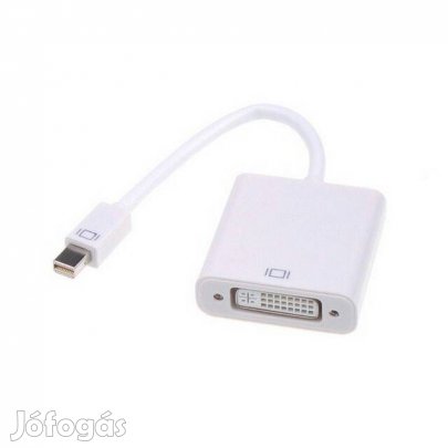 Adapter : mini Displayport / DVI átalakító kábel (_)