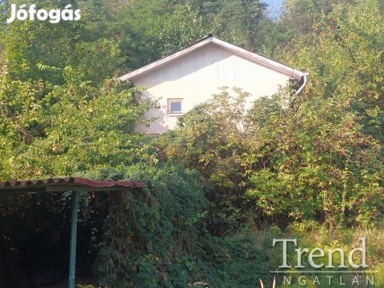 Adonyban a szőlőhegyen két egymás mellett lévő hétvégi ház eladó!