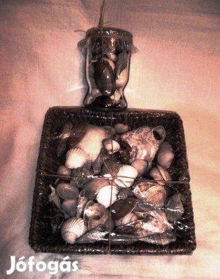 Adriai tengeri Kagyló gyűjtemények