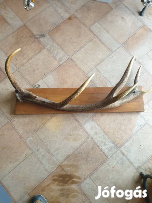 Agancs fogas szép állapotban 