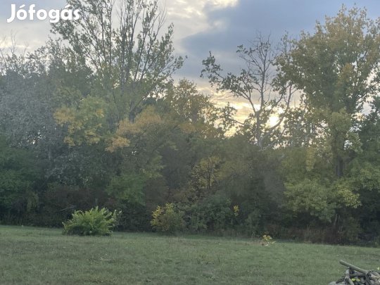 Agárd, Agárd utca, 817 m2-es, telek