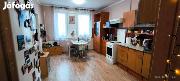 Agrár Egyetem előtt 54 m2 2 szobás lakás kiadó