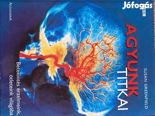 Agyunk Titkai Betekintés Érzelmeink És Ötleteink Vilagába