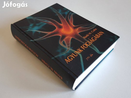 Agyunk fogságában (Bánki M. Csaba)