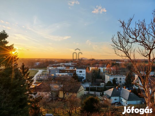 Ajka kertvárosi részén 4 szobás szuterénos családi ház eladó.