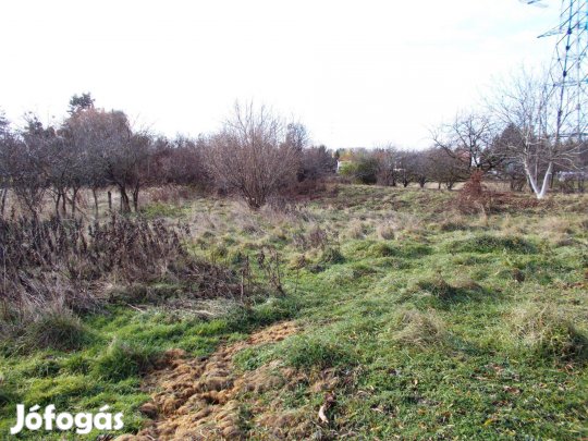 Ajka nagyméretű kereskedelmi - ipari telek reális áron eladó!