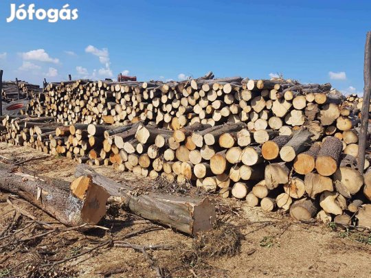 Akác, tölgy tűzifa apritva is