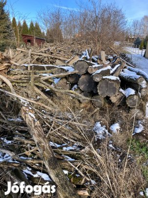 Akác fűrészrönkök, akác épületfa és akác oszlopok eladók