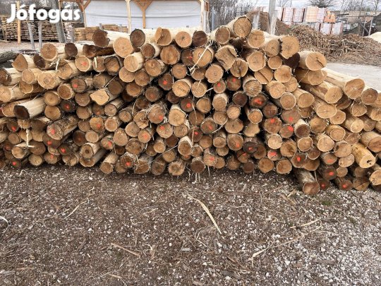 Akac oszlop 2,5 m 10-12 cm kérgezett