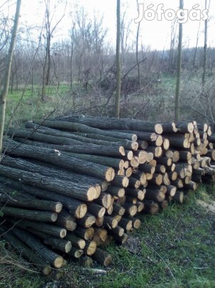 Akác oszlop, Kerítés oszlop 8-10cm