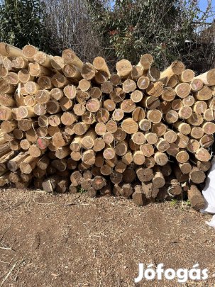 Akác oszlop , támfa, cölöp, szőlőkaró, akác oszlop eladó