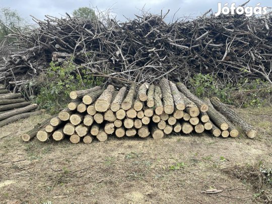 Akác oszlop eladó!