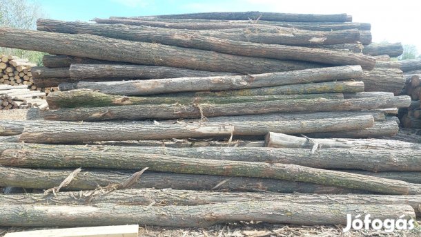 Akác rönk eladó