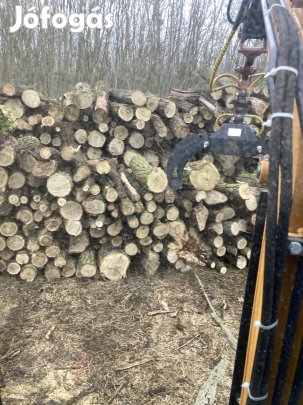 Akác tűzifa Erdőgazdálkodótól