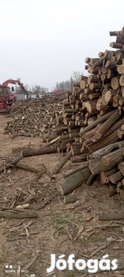 Akác tűzifa eladó!