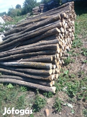 Akácfa oszlopok 100db eladó!