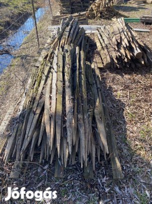 Akáckaró villanypásztor karó