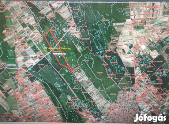 Akasztó és Kiskőrös határában 97,5 Ha legelő, rét, eladó!