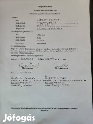 Akció! Gigant gojibogyó csemeték,más kertben teremnének!