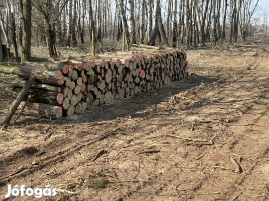 Akciós tűzifa