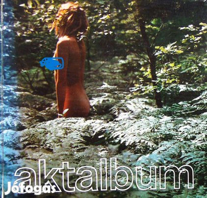 Aktalbum könyv