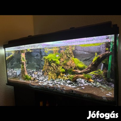 Akvárium 150l