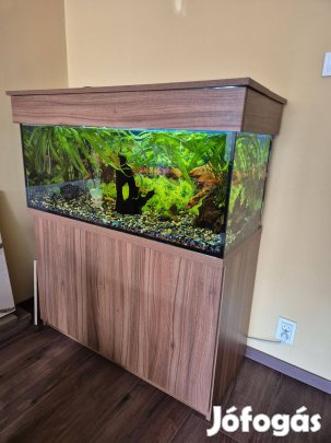 Akvarium 300l , teljes felszereléssel, szekrénnyel