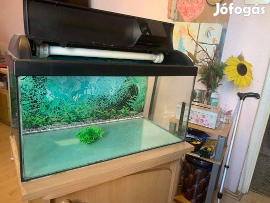 Akvárium 60L + JBL e401 külső szűrő