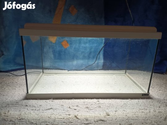 Akvárium(60literes, teljes induló szett)