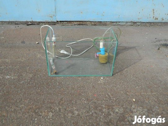 Akvárium Eladó ! (10 L -es)