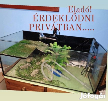 Akvárium, hibátlan állapotban